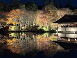 国営昭和記念公園 秋の夜散歩に投稿された画像（2025/11/21）