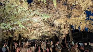 国営昭和記念公園 秋の夜散歩に投稿された画像（2025/11/20）
