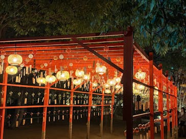 国営昭和記念公園 秋の夜散歩に投稿された画像（2025/11/20）