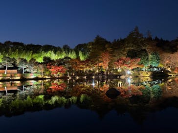 国営昭和記念公園 秋の夜散歩に投稿された画像（2025/11/20）