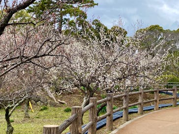 那須ステンドグラス美術館に投稿された画像（2025/11/20）