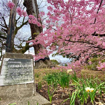 那須ステンドグラス美術館に投稿された画像（2025/11/20）