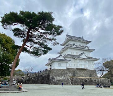 那須ステンドグラス美術館に投稿された画像（2025/11/20）