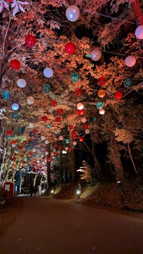 ムーミンバレーパークに投稿された画像（2025/11/21）