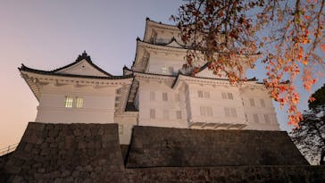 小田原城に投稿された画像（2025/11/21）