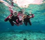 沖縄マリンサービス碧に投稿された画像（2025/11/21）