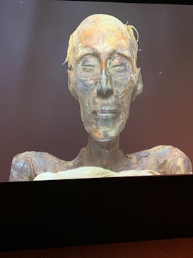 ACN ラムセス大王展 ファラオたちの黄金に投稿された画像（2025/11/21）