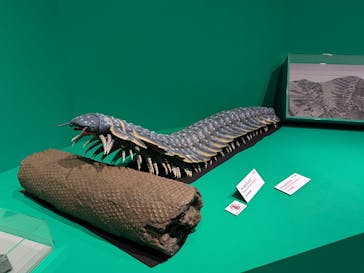 特別展「大絶滅展―生命史のビッグファイブ」に投稿された画像（2025/11/21）