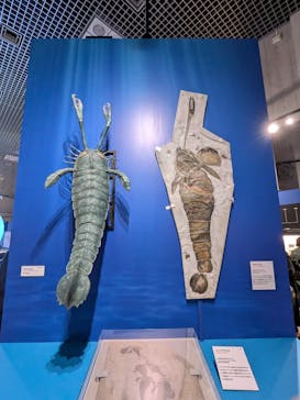 特別展「大絶滅展―生命史のビッグファイブ」に投稿された画像（2025/11/21）