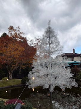 箱根ガラスの森美術館に投稿された画像（2025/11/21）