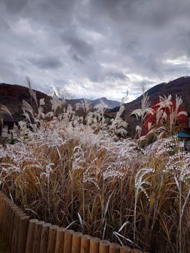 箱根ガラスの森美術館に投稿された画像（2025/11/21）