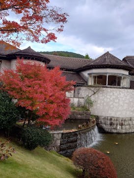 箱根ガラスの森美術館に投稿された画像（2025/11/21）