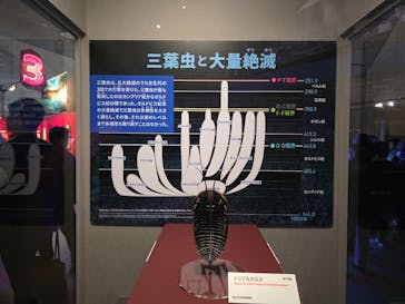 特別展「大絶滅展―生命史のビッグファイブ」に投稿された画像（2025/11/21）