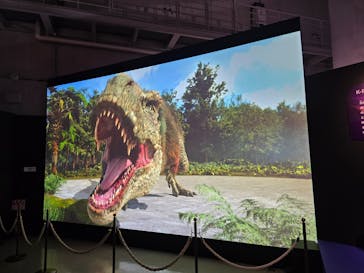 特別展「大絶滅展―生命史のビッグファイブ」に投稿された画像（2025/11/21）