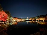 国営昭和記念公園 秋の夜散歩に投稿された画像（2025/11/21）