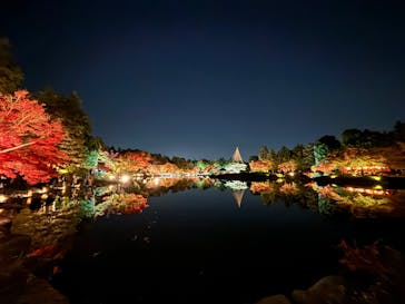 国営昭和記念公園 秋の夜散歩に投稿された画像（2025/11/21）