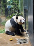恩賜上野動物園に投稿された画像（2025/11/21）