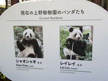 恩賜上野動物園に投稿された画像（2025/11/21）