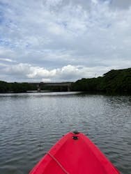 カヌー体験　らぐ～んに投稿された画像（2025/11/21）