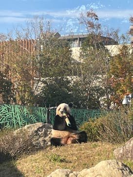 恩賜上野動物園に投稿された画像（2025/11/21）