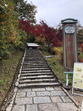 博物館 明治村に投稿された画像（2025/11/21）