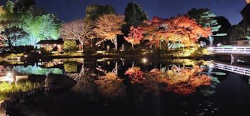 国営昭和記念公園 秋の夜散歩に投稿された画像（2025/11/21）