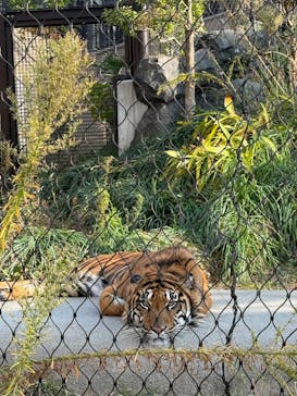 名古屋市東山動植物園に投稿された画像（2025/11/21）