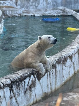 名古屋市東山動植物園に投稿された画像（2025/11/21）