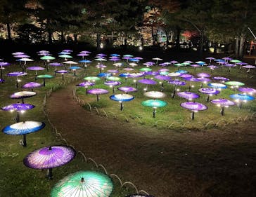 国営昭和記念公園 秋の夜散歩に投稿された画像（2025/11/21）