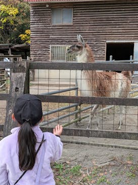野外民族博物館 リトルワールドに投稿された画像（2025/11/21）