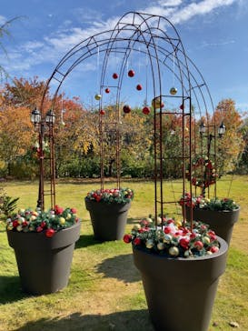 横浜イングリッシュガーデンに投稿された画像（2025/11/21）