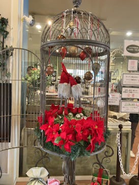 横浜イングリッシュガーデンに投稿された画像（2025/11/21）