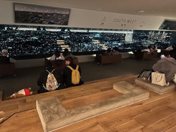 横浜ランドマークタワー 69階展望フロア スカイガーデンに投稿された画像（2025/11/21）