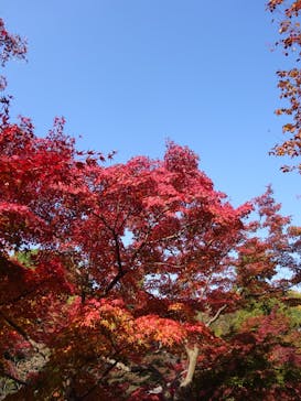 名古屋市東山動植物園に投稿された画像（2025/11/21）