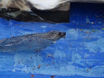 名古屋市東山動植物園に投稿された画像（2025/11/21）