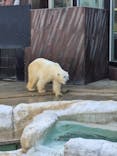 恩賜上野動物園に投稿された画像（2025/11/21）