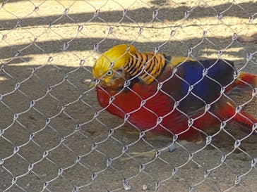 恩賜上野動物園に投稿された画像（2025/11/21）