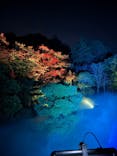 ZEN NIGHT WALK KAMAKURAに投稿された画像（2025/11/21）