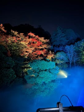 ZEN NIGHT WALK KAMAKURAに投稿された画像（2025/11/21）