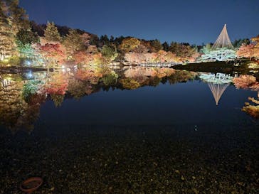 国営昭和記念公園 秋の夜散歩に投稿された画像（2025/11/21）