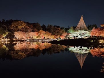 国営昭和記念公園 秋の夜散歩に投稿された画像（2025/11/21）
