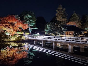 国営昭和記念公園 秋の夜散歩に投稿された画像（2025/11/21）