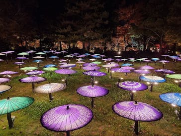 国営昭和記念公園 秋の夜散歩に投稿された画像（2025/11/21）