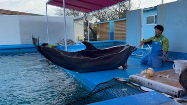 ゼロ距離水族館 伊勢シーパラダイスに投稿された画像（2025/11/21）