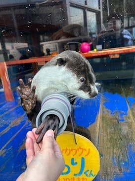 ゼロ距離水族館 伊勢シーパラダイスに投稿された画像（2025/11/21）