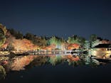 国営昭和記念公園 秋の夜散歩に投稿された画像（2025/11/21）