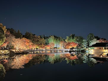 国営昭和記念公園 秋の夜散歩に投稿された画像（2025/11/21）