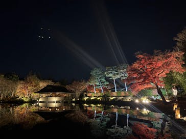 国営昭和記念公園 秋の夜散歩に投稿された画像（2025/11/21）