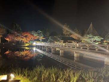 国営昭和記念公園 秋の夜散歩に投稿された画像（2025/11/21）