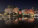 国営昭和記念公園 秋の夜散歩に投稿された画像（2025/11/21）